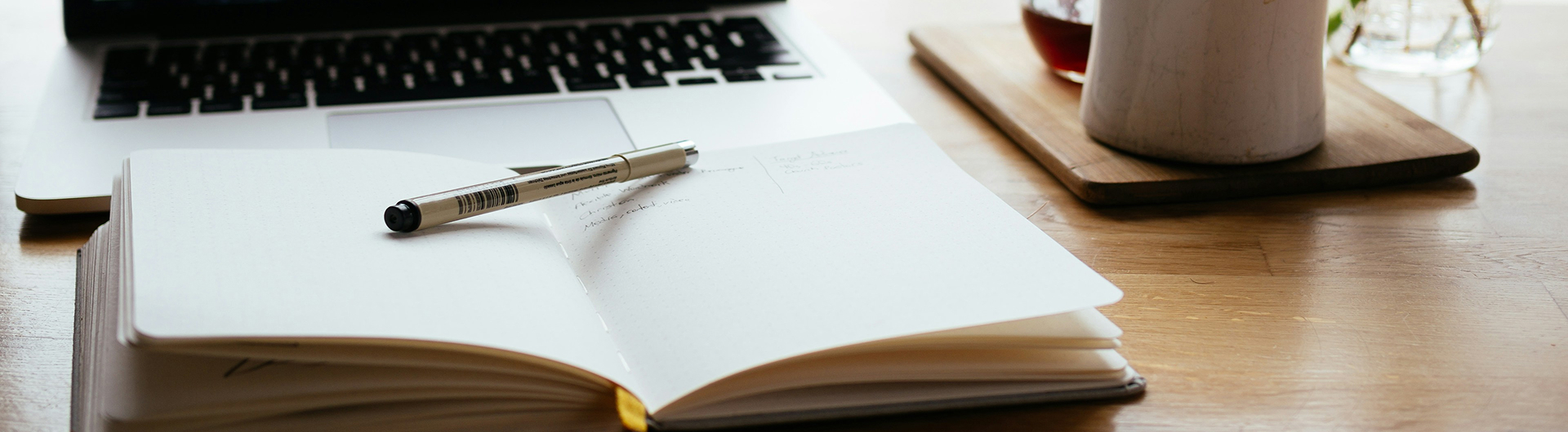 Bachelor of Project Management